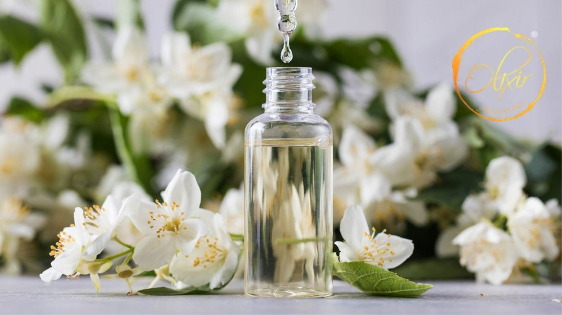 Get Better Jasmine Oil Benefits For Hair Results By Following These Simple Steps
